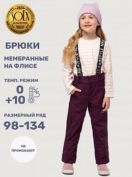 Брюки 2л3825 вишня оптом от производителя NIKASTYLE