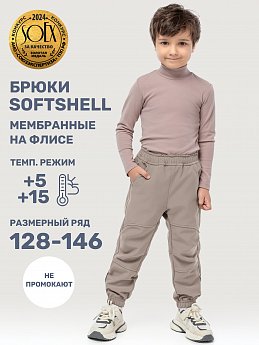 Брюки 2л17325 какао оптом от производителя NIKASTYLE