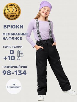 Брюки 2л3825 черный оптом от производителя NIKASTYLE