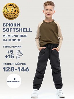 Брюки 2л17325 черный оптом от производителя NIKASTYLE